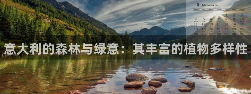 泉州摩根会娱乐有限责任公司管理