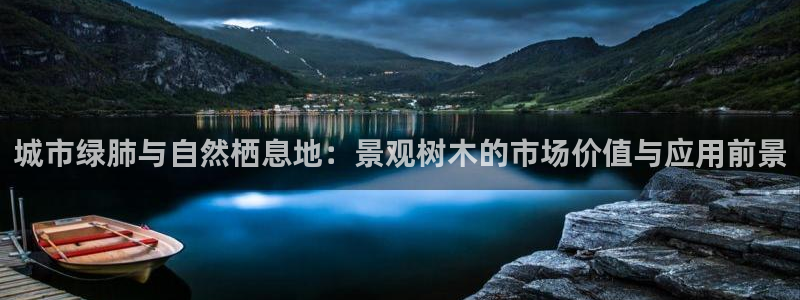 首页摩根娱乐平台