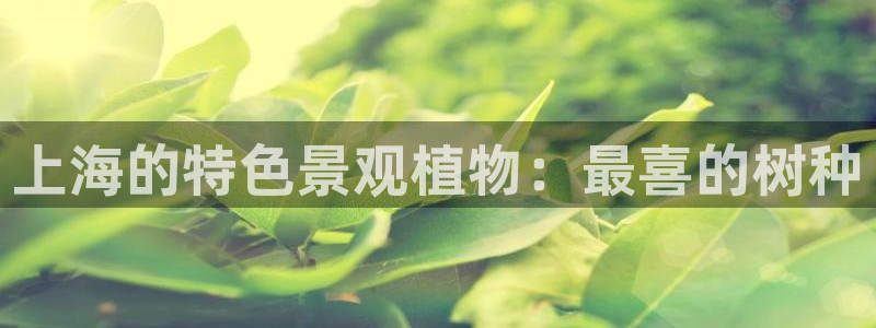 摩根娱乐这个平台怎么样