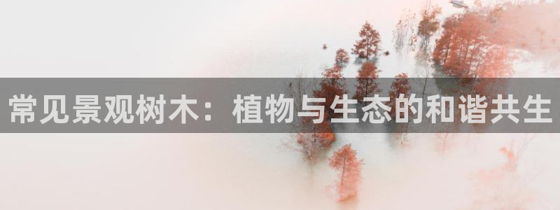 摩根娱乐宝口碑