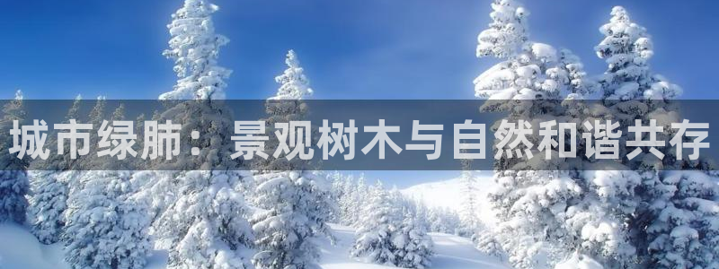 摩根娱乐会所门头