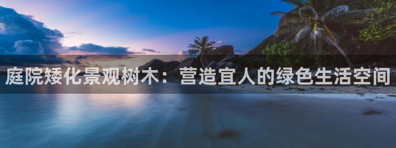 摩根娱乐宝骗局