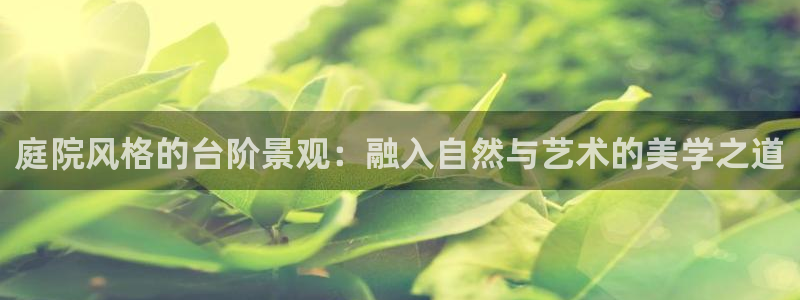 娱乐解说摩根王者荣耀