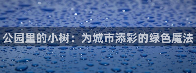 摩根大通旗下娱乐公司