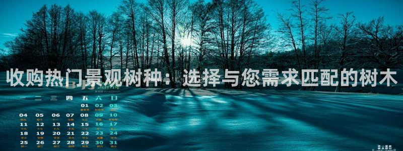 摩根娱乐宝k线图