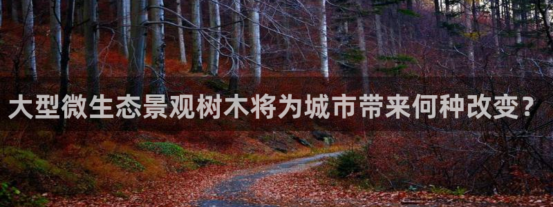 摩根娱乐百家号