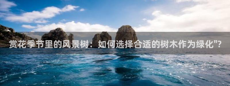 摩根娱乐开户总s管50015 18