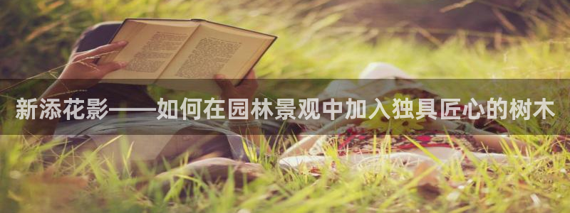白宫摩根娱乐场所
