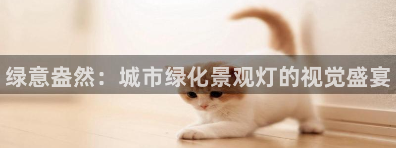 泉州摩根会娱乐有限责任公司管理