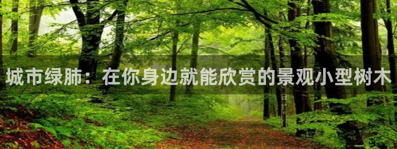 摩根娱乐宝招商