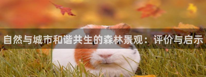 摩根娱乐宝合法吗