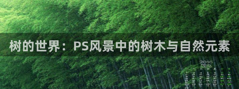 摩根大通王者娱乐