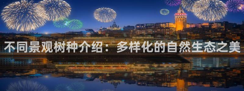 奥飞娱乐摩根调研