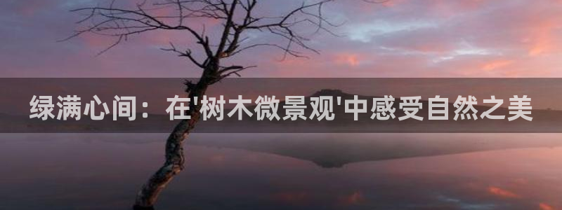 摩根娱乐彩票最忌三种东西