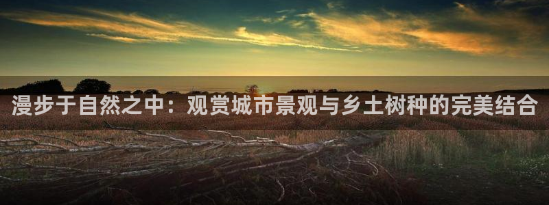摩根娱乐app