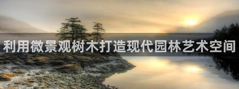 摩根大通投资娱乐公司：利用微景观树木打造现代园林艺术空间