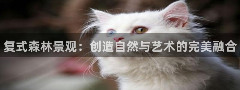 义乌摩根娱乐会所老板