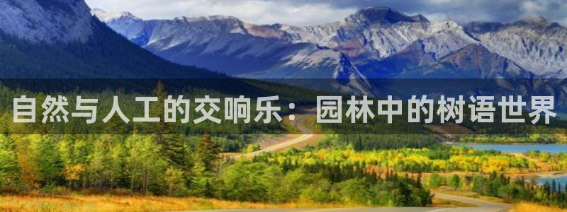 摩根娱乐公会创始人