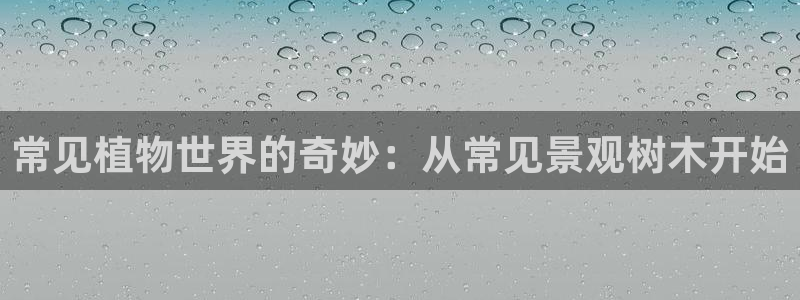 义乌摩根娱乐会所价格