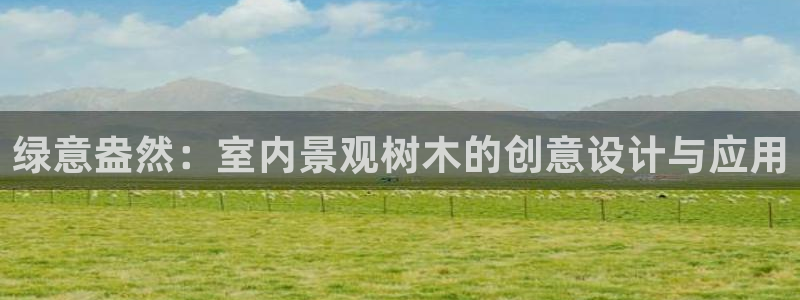 摩根娱乐开户总s管50015 15