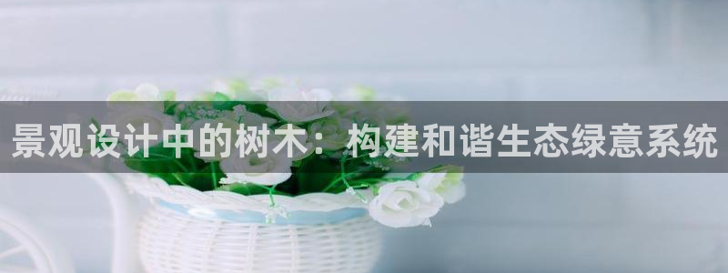 福建泉州白宫摩根会娱乐