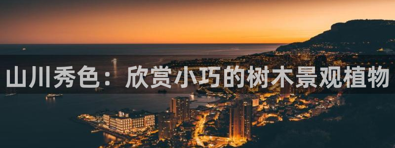 摩根娱乐宝代理