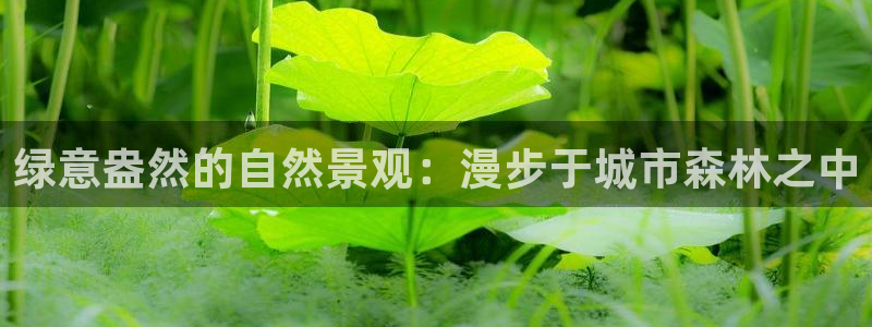 香港摩根娱乐宝