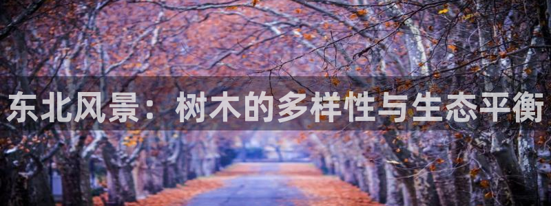 泉州摩根会娱乐会所地址