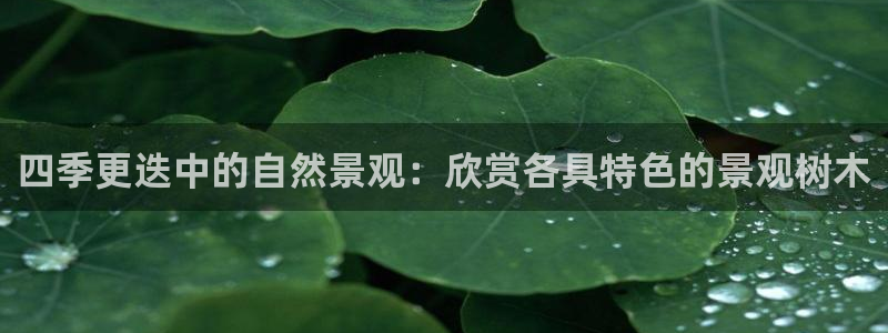 摩根娱乐宝是骗局吗