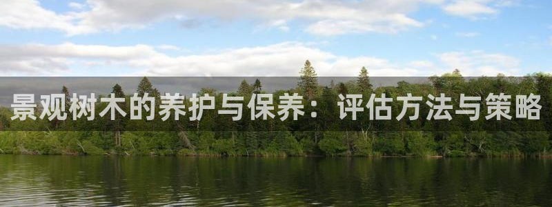 摩根大通狮门娱乐目标价