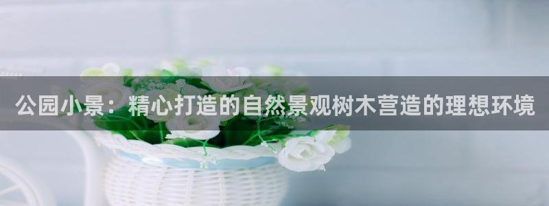 泉州摩根会娱乐场所：公园小景：精心打造的自然景观树木营造的理想环境