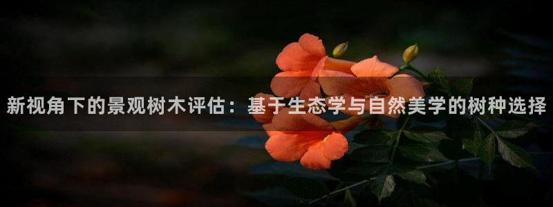 摩根娱乐是骗局吗