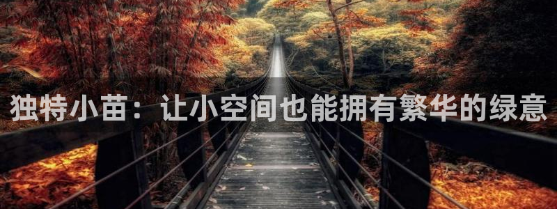 摩根 娱乐宝骗了我