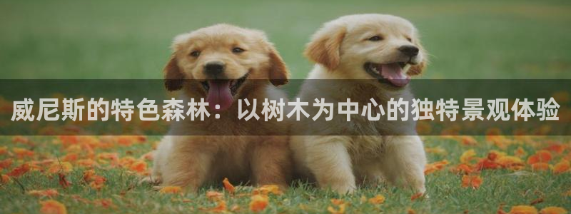 摩根娱乐垫付任务靠谱吗：威尼斯的特色森林：以树木为中心的独特景观体验
