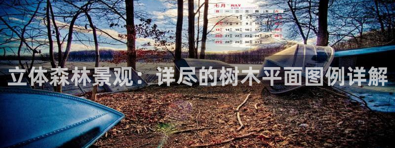 摩根娱乐平台云挂机安全吗