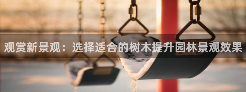 摩根娱乐 总s管50015：观赏新景观：选择适合的树木提升园林景观效果