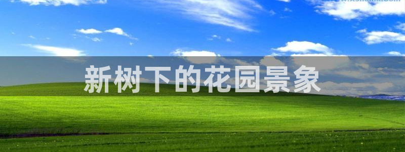 摩根娱乐宝机构代码