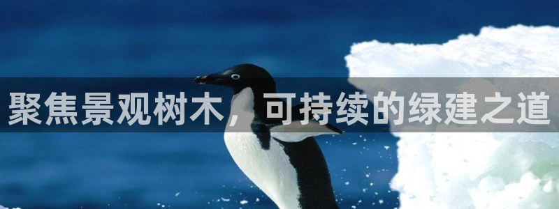 长春拉图摩根娱乐：聚焦景观树木，可持续的绿建之道