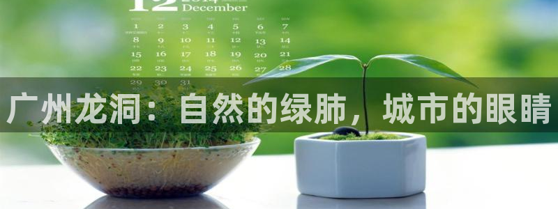 摩根娱乐宝手机客户端