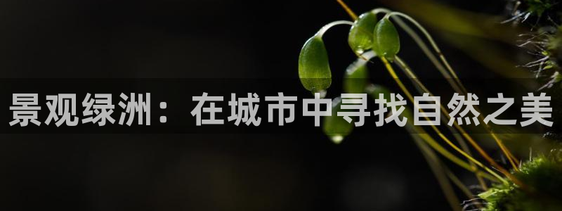 摩根娱乐是骗局吗?