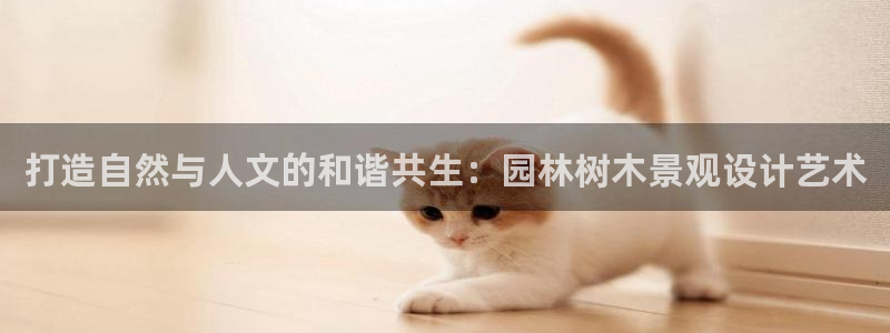 芜湖摩根一百有哪些娱乐