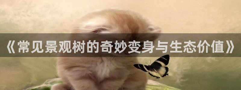 摩根说娱乐：《常见景观树的奇妙变身与生态价值》