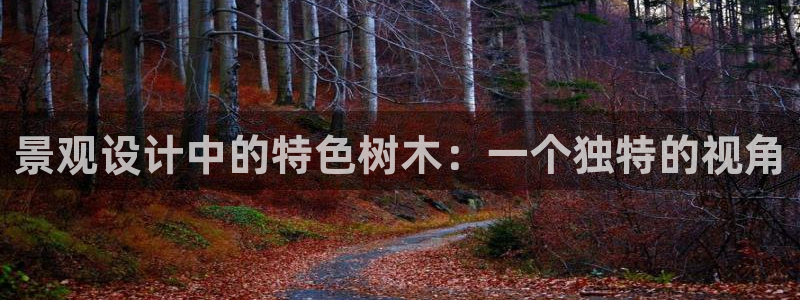 白宫摩根娱乐