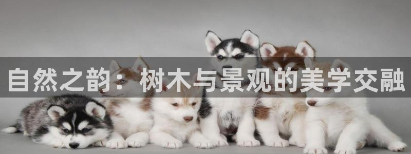 泉州摩根会娱乐邮箱