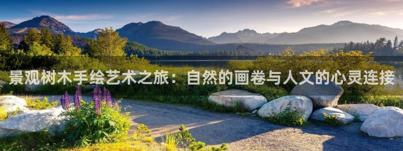 摩根娱乐50186找