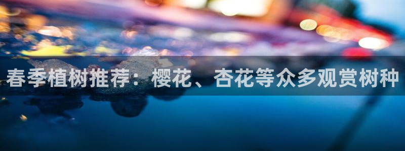 摩根娱乐宝招商