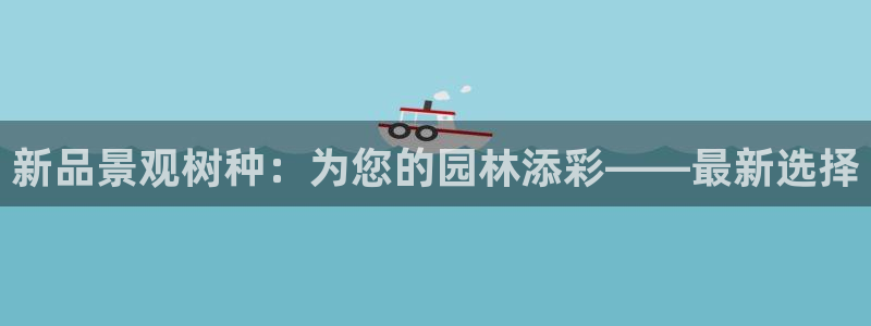 摩根中央公园娱乐