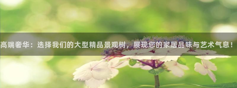 摩根娱乐创始人