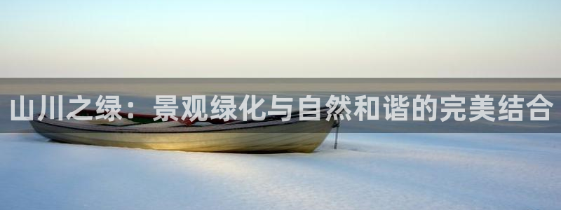 华视娱乐 摩根 王琛
