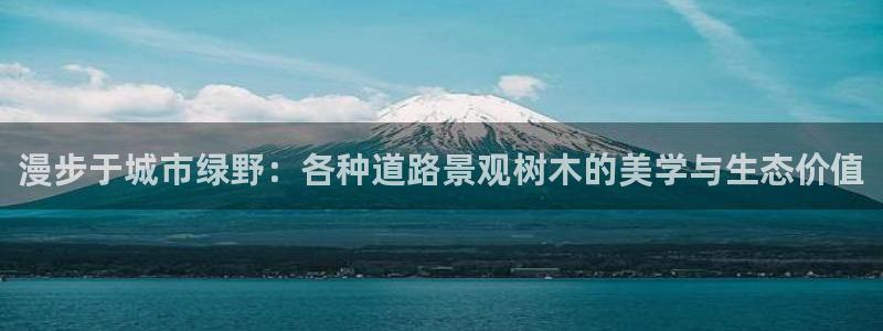 白宫摩根娱乐地址